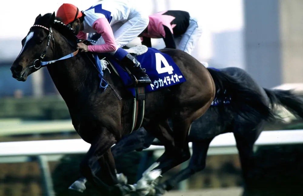 JRA - Arima Kinen 1993