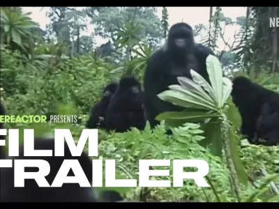 David Attenborough Apresenta a Atraente História de Um Gorila em Novo Trailer da Netflix