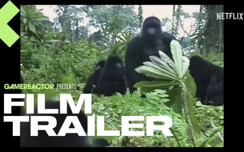 David Attenborough Apresenta a Atraente História de Um Gorila em Novo Trailer da Netflix