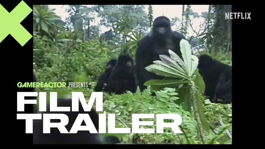 David Attenborough Apresenta a Atraente História de Um Gorila em Novo Trailer da Netflix