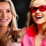 Prepare-se para a nova série: o que relembrar de Legalmente Loira?