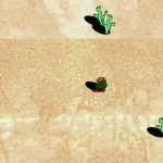 Cow Carries