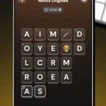 Netflix Puzzled
